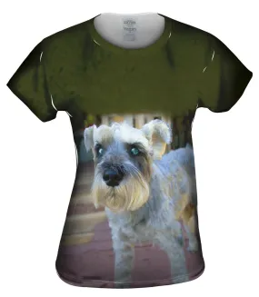Curious Schnauzer