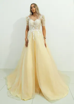 Sparkling light gold tulle princess dress with sleeves for hire